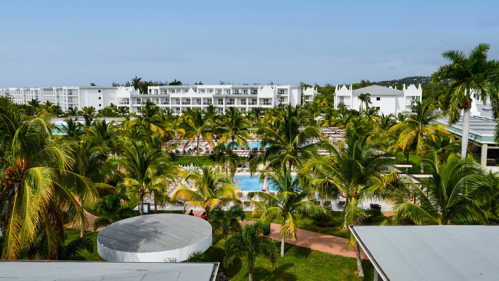 Tropical resort grounds with palms and pools.